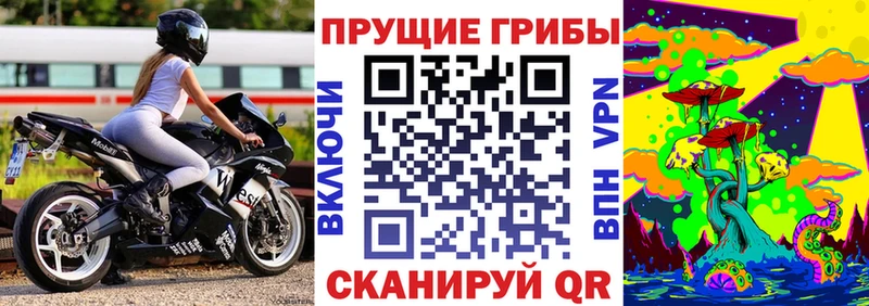 Галлюциногенные грибы GOLDEN TEACHER  Новый Оскол 